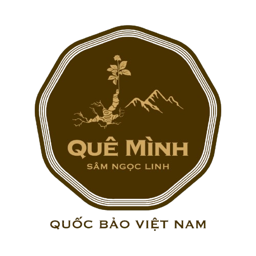 Logo-Quê_Mình_Sâm_Ngọc_Linh